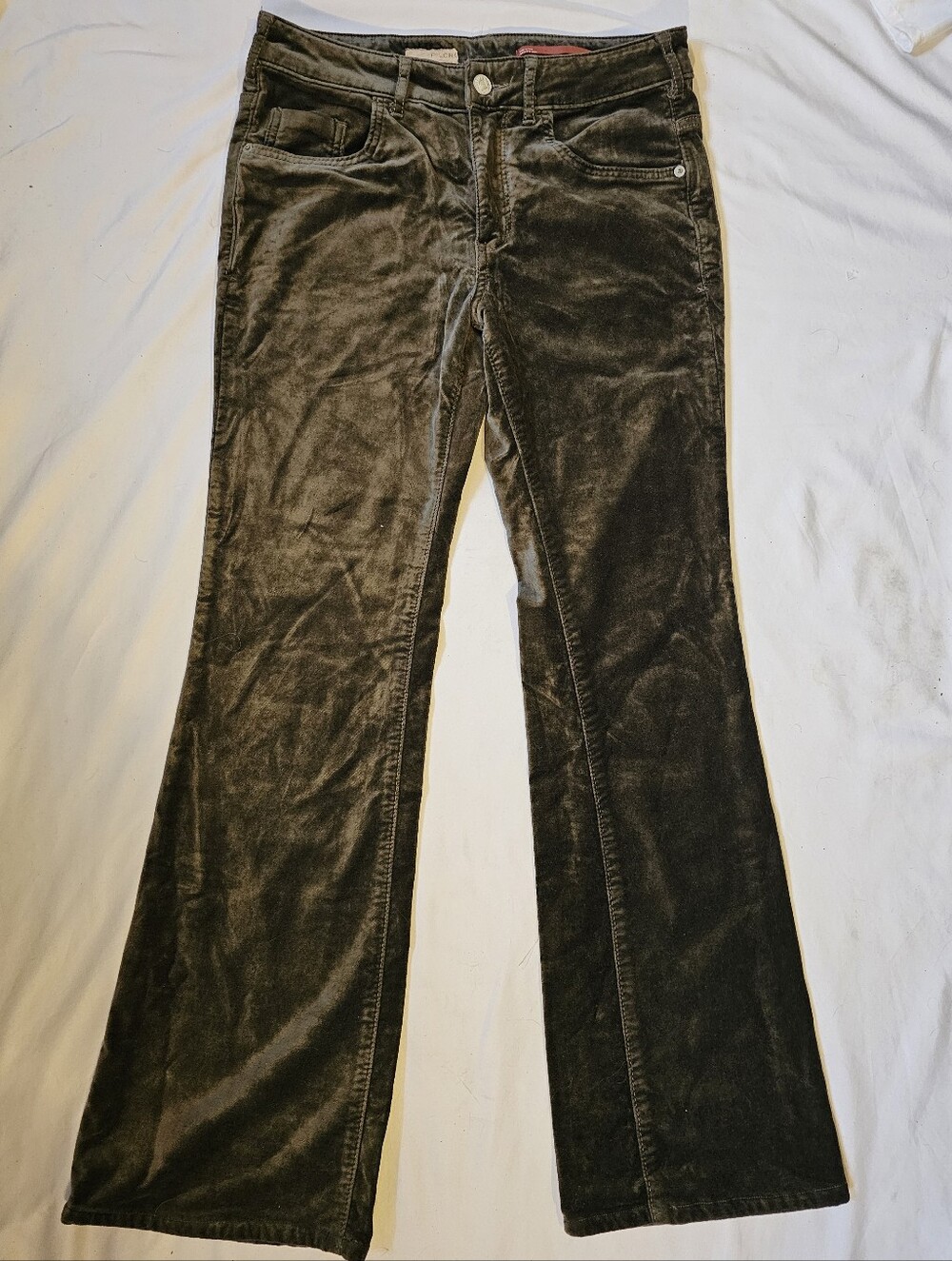 Pilcro Anthropologie Olive Gray Velvet Bootcut Pants Size 27 - Picture 2 of 16